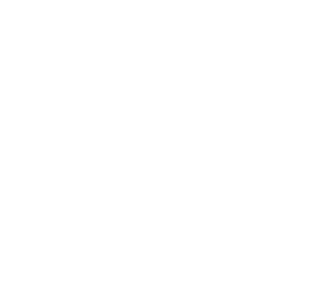 Spaceship